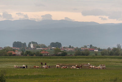 Sprijin financial pentru AgroSIC