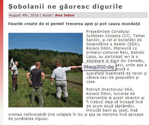 Șobolanii ne găuresc digurile